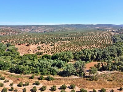 Rodinná farma Nobleza del Sur v Andalůsii